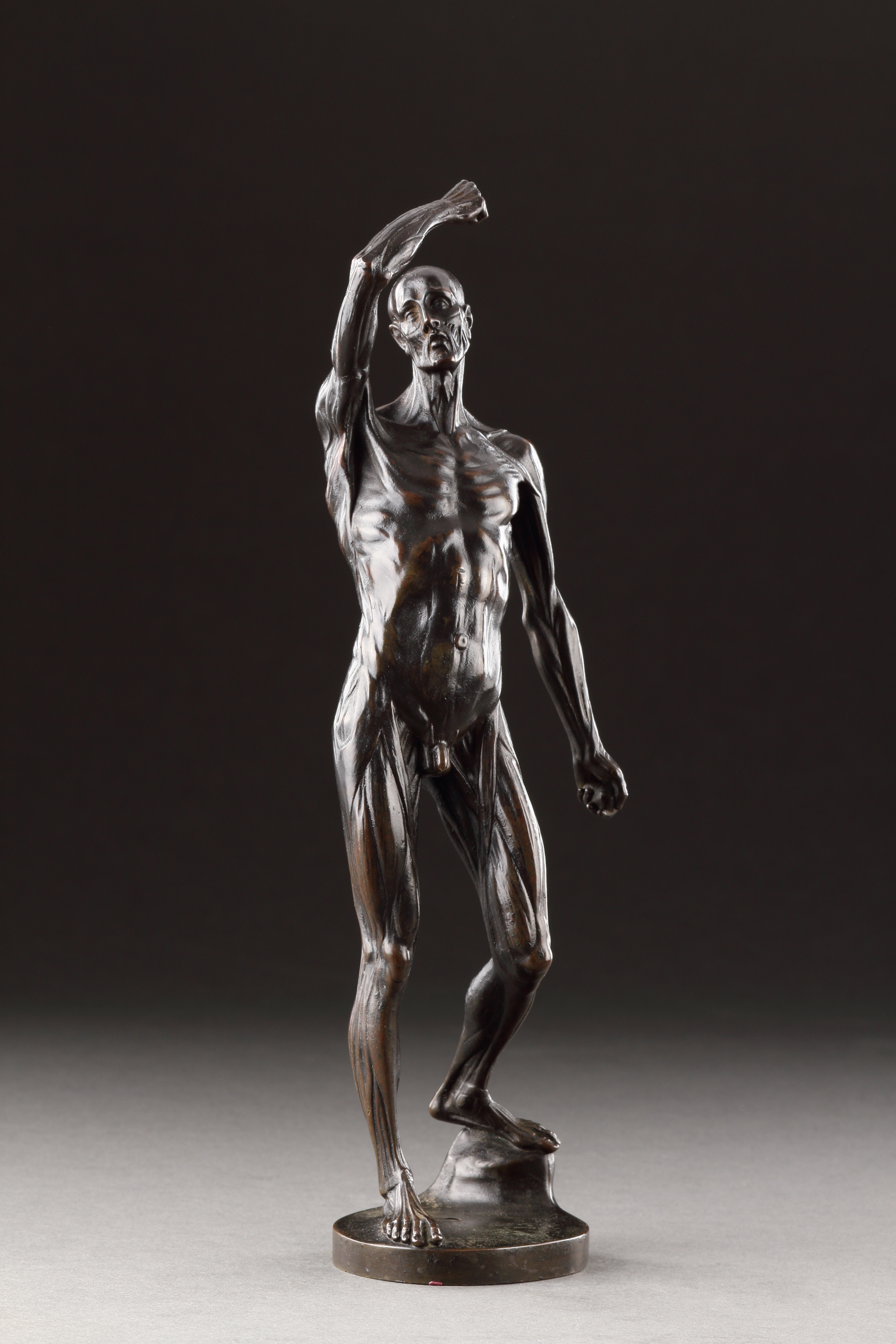 A Very Rare and Possibly Unique Écorché Figure